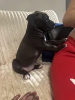 processed/32b4ef15-2c47-4b25-a799-04c1302c8e34/listing/1d4c2f6a-fa45-40e7-8c24-3d7e99393cf7/e9a3e276-bb7d-4ccb-ad0f-c5bc0177578f