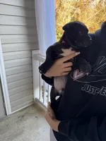 processed/32b4ef15-2c47-4b25-a799-04c1302c8e34/listing/cdca1884-f4fc-48fc-998f-8834b8cbb9d0/080d1533-076e-4f87-9e54-4320521eba91