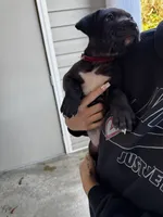 processed/32b4ef15-2c47-4b25-a799-04c1302c8e34/listing/cdca1884-f4fc-48fc-998f-8834b8cbb9d0/8f7376a7-1e14-465e-b430-c0d3450f1925