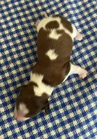 processed/32bdb998-8428-459b-8f1e-21c8db52998c/listing/94e18619-eb1b-4bfb-abe1-589acd74d2aa/2da1c117-2363-4149-b156-dde9ac5a4b20