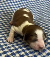 processed/32bdb998-8428-459b-8f1e-21c8db52998c/listing/94e18619-eb1b-4bfb-abe1-589acd74d2aa/de096b77-5303-40c5-bc80-9f9e9fd5a5e6