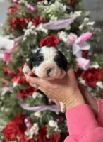 processed/32be32c6-ef81-4a75-a218-20e253044f49/listing/0602e19c-011a-44f7-8c1d-88b59efc5c9a/17db9f80-82b3-403a-a2a2-22aa892d95ae