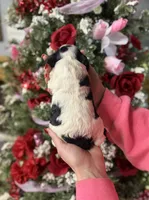 processed/32be32c6-ef81-4a75-a218-20e253044f49/listing/0602e19c-011a-44f7-8c1d-88b59efc5c9a/8f2fbcac-f238-41f2-8815-31691127babc