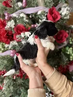 processed/32be32c6-ef81-4a75-a218-20e253044f49/listing/0cafcfa9-3681-4044-bd0f-9807a94f6c68/18877eac-6515-4fff-8691-5b72616df5bd