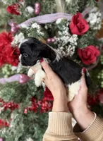 processed/32be32c6-ef81-4a75-a218-20e253044f49/listing/0cafcfa9-3681-4044-bd0f-9807a94f6c68/47badb98-b0f1-4c1e-81ef-291c084b08bd