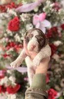 processed/32be32c6-ef81-4a75-a218-20e253044f49/listing/231f42cd-1051-451c-a356-fa2a76e43d21/f99bb480-ae81-4462-81b5-8b082715b220