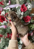 processed/32be32c6-ef81-4a75-a218-20e253044f49/listing/683e2f04-8eec-4448-acc1-02d6af7aac64/84446a49-b72e-4f85-9253-6491a21ceb80