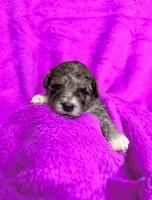 processed/32be32c6-ef81-4a75-a218-20e253044f49/listing/6fc724a2-1419-496a-9fb0-b69b48680602/39ad9734-32b0-49cf-929c-39b590bacdb3