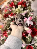 processed/32be32c6-ef81-4a75-a218-20e253044f49/listing/6fc724a2-1419-496a-9fb0-b69b48680602/660e5739-0b41-4c72-99dd-15c6185662ad