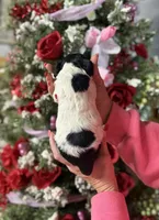 processed/32be32c6-ef81-4a75-a218-20e253044f49/listing/a1abae89-be6c-4e67-9a3b-6447dd78287f/47e9a169-815e-41b7-8011-f154ea0808de