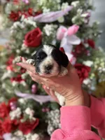 processed/32be32c6-ef81-4a75-a218-20e253044f49/listing/a1abae89-be6c-4e67-9a3b-6447dd78287f/5c38abbc-7dff-4127-a358-94e69db2bbc3