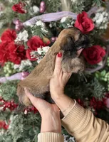 processed/32be32c6-ef81-4a75-a218-20e253044f49/listing/bfcb0d1f-e5d4-40b8-8cd3-858e17e8b330/0b0717e9-ab27-4112-acc5-898529e0090a