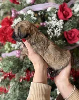 processed/32be32c6-ef81-4a75-a218-20e253044f49/listing/bfcb0d1f-e5d4-40b8-8cd3-858e17e8b330/4a99f3dc-e35d-4a7d-a163-2030d1b4e205