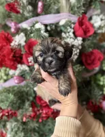 processed/32be32c6-ef81-4a75-a218-20e253044f49/listing/bfcb0d1f-e5d4-40b8-8cd3-858e17e8b330/e6b23b29-140d-4745-b7ee-ba14d746f449