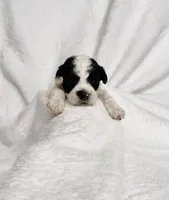 processed/32be32c6-ef81-4a75-a218-20e253044f49/listing/ce4c110d-1b9d-47cb-9fce-137fd5276dca/641e0142-9cee-4d2c-b92f-7c5e2111d3a0