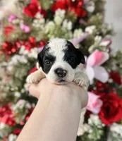 processed/32be32c6-ef81-4a75-a218-20e253044f49/listing/ce4c110d-1b9d-47cb-9fce-137fd5276dca/8433a54c-6dd6-4a22-b593-997edbd8252b