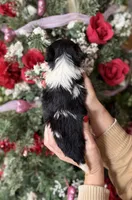 processed/32be32c6-ef81-4a75-a218-20e253044f49/listing/d98a006d-5bf5-4efd-bf06-73d1163cdc72/7a42118e-c41e-4f0c-9f1e-cadba4cf7559