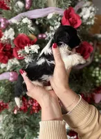 processed/32be32c6-ef81-4a75-a218-20e253044f49/listing/d98a006d-5bf5-4efd-bf06-73d1163cdc72/86eeb5f7-4e04-449f-84e2-b8c8aad13d15