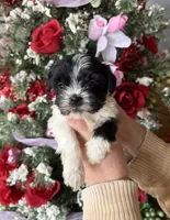 processed/32be32c6-ef81-4a75-a218-20e253044f49/listing/d98a006d-5bf5-4efd-bf06-73d1163cdc72/990e1d6b-25d9-456e-8232-2ada47a9f804