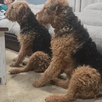 processed/32c2f771-aebc-4b80-8ae7-3c278b15f6da/facility/0f8b8a1a-3ba3-45e4-b954-5114da91f48c