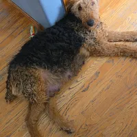 processed/32c2f771-aebc-4b80-8ae7-3c278b15f6da/facility/35f4b82a-ab81-449b-9b72-59f30be3ee37