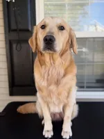 processed/32c5476c-a081-47f9-af75-bee0e8ca6cb3/listing/978b5951-74eb-4c43-8a4c-c69691beb0d2/940309ce-21a3-40b0-bb52-56174eeee4ff