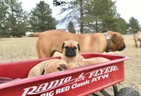 processed/32c82f25-5c75-4e4f-b950-6fbc9649eedd/facility/12df0d8d-d768-4739-a97d-08043825b19b