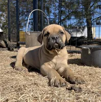 processed/32c82f25-5c75-4e4f-b950-6fbc9649eedd/facility/1fd37ea0-91f0-4f2f-ae71-0ac846fc2905