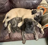 processed/32c82f25-5c75-4e4f-b950-6fbc9649eedd/facility/5aa2ba38-7da1-4205-84a4-f3b096cd4b41