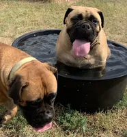 processed/32c82f25-5c75-4e4f-b950-6fbc9649eedd/facility/77b203bb-aa3b-4118-853c-e3be03c5dba8