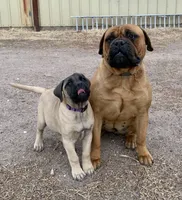 processed/32c82f25-5c75-4e4f-b950-6fbc9649eedd/facility/d6afb593-a292-40e7-92c4-0e966ec66082