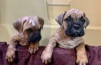 processed/32c82f25-5c75-4e4f-b950-6fbc9649eedd/facility/f97c0cbf-a85d-4b54-8034-2c53ee4073f1