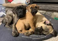 processed/32c82f25-5c75-4e4f-b950-6fbc9649eedd/facility/fdc312cc-65f2-439a-8fe8-34744662fb2b