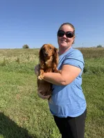 Carnie, a female Dachshund and Miniature Dachshund for sale in Stuart, IA – 6 of 8
