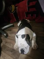 processed/32cd1b79-337a-4833-8e23-37e19abf26f2/listing/ef74a74f-0116-4b82-8252-16c51a153e21/cb594815-fa64-4265-84b3-063199c90df5