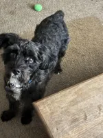 processed/32cda7ba-46ee-4b08-b7ec-d4944165194a/listing/2f72aba0-5c63-4858-b19d-30f807533acb/4daa795c-09b7-4d1e-8258-25bce6b04793