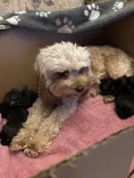 processed/32cda7ba-46ee-4b08-b7ec-d4944165194a/listing/2f72aba0-5c63-4858-b19d-30f807533acb/6bbdbbd6-df91-4eb8-b992-1117b7bbf689