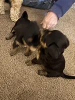 processed/32cda7ba-46ee-4b08-b7ec-d4944165194a/listing/2f72aba0-5c63-4858-b19d-30f807533acb/8c5dcd03-6747-45ce-aebf-5fc6d5158ea8