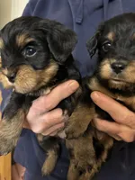 processed/32cda7ba-46ee-4b08-b7ec-d4944165194a/listing/2f72aba0-5c63-4858-b19d-30f807533acb/af5181be-66bd-4ee5-9694-e4140570dba9