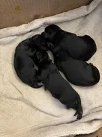 processed/32cda7ba-46ee-4b08-b7ec-d4944165194a/listing/2f72aba0-5c63-4858-b19d-30f807533acb/ca4d1e1b-3555-48f1-9130-419a8c543063