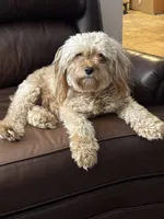 processed/32cda7ba-46ee-4b08-b7ec-d4944165194a/listing/2f72aba0-5c63-4858-b19d-30f807533acb/cec82a90-eb80-4d1a-b27d-b5c748ad9681