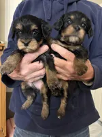 processed/32cda7ba-46ee-4b08-b7ec-d4944165194a/listing/2f72aba0-5c63-4858-b19d-30f807533acb/f438fae5-0dee-45ca-bca3-0c4feb772c01