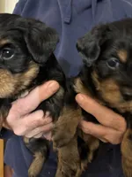 processed/32cda7ba-46ee-4b08-b7ec-d4944165194a/listing/2f72aba0-5c63-4858-b19d-30f807533acb/fafca476-ae10-42ba-bc4e-deec8ac55e23