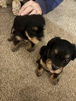 processed/32cda7ba-46ee-4b08-b7ec-d4944165194a/listing/addd9854-3a57-4559-a3c6-5c815ca0403d/5a8d6e4f-ebe3-42d8-bbaa-8ab981ab51e9