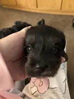 processed/32cda7ba-46ee-4b08-b7ec-d4944165194a/listing/addd9854-3a57-4559-a3c6-5c815ca0403d/6750fa3a-33d6-46b8-9d65-890abf7d532e