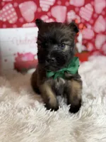 processed/32e1c3c2-e44c-4819-b04c-f9f2f57c9c1b/listing/100602b3-d9d6-4ad0-8f7f-1e446037c00f/07f116e3-b9fe-41c0-a8b3-7b3374707b01