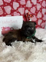 processed/32e1c3c2-e44c-4819-b04c-f9f2f57c9c1b/listing/100602b3-d9d6-4ad0-8f7f-1e446037c00f/0b72451f-ade1-41f9-8344-cd7a7724ea5b