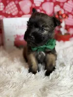 processed/32e1c3c2-e44c-4819-b04c-f9f2f57c9c1b/listing/100602b3-d9d6-4ad0-8f7f-1e446037c00f/12899291-68d7-4693-ae3e-447be1c26d9c