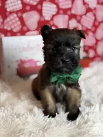 processed/32e1c3c2-e44c-4819-b04c-f9f2f57c9c1b/listing/100602b3-d9d6-4ad0-8f7f-1e446037c00f/1c980022-791c-4688-a1bc-aae22a364897