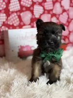 processed/32e1c3c2-e44c-4819-b04c-f9f2f57c9c1b/listing/100602b3-d9d6-4ad0-8f7f-1e446037c00f/4e44819b-8fa5-48f9-bad5-c3d0775b0e92